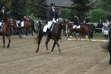 Bild 812 - WBO-Turnier am 18.9.11